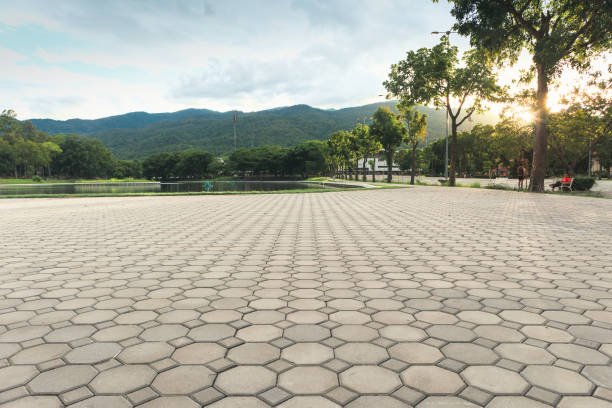 Best Professional Driveway Pavers  in Trempealeau, WI